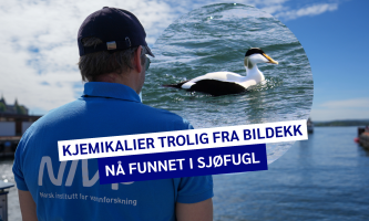 En person som hopper i vannet