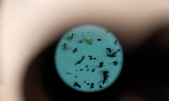 Mikroplastpartikler finnes i lufta vi puster, vannet vi drikker og jorden vi dyrker mat i.