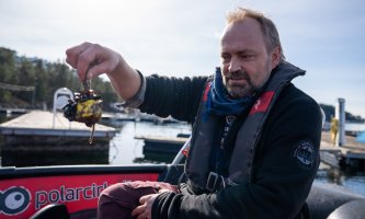 Mann som holder små blåskjell