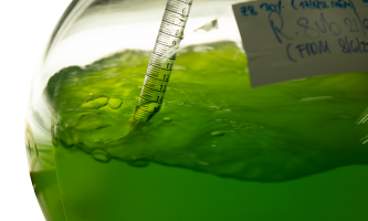 Glass with green liquid