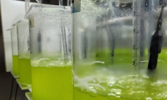 Green fluids