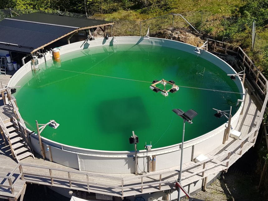 Bilde av stort, rundt basseng med grønt vann. 