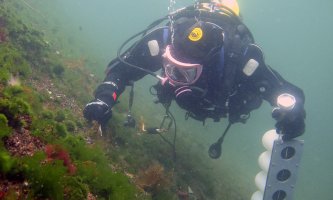 Diver on fieldwork