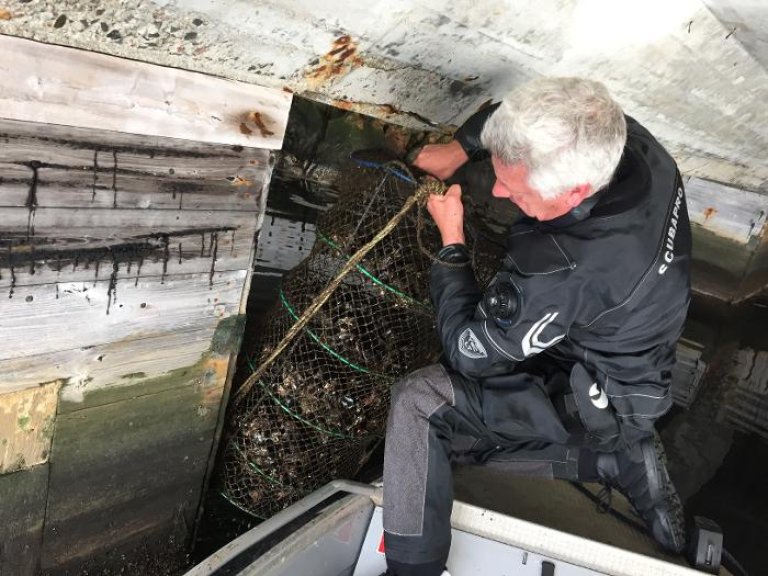 Jarle Håvardstun during fieldwork in Kristiansand harbour. (Photo: Lise Tveiten, NIVA)