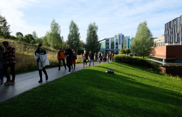 A dozen people on a path over a lawn