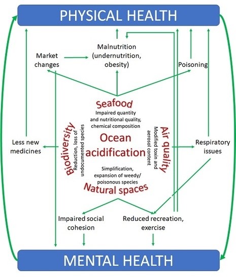 oceanacidificationandhumanhealth