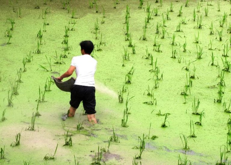 Kina_wanshan_20110613_054954_TLA