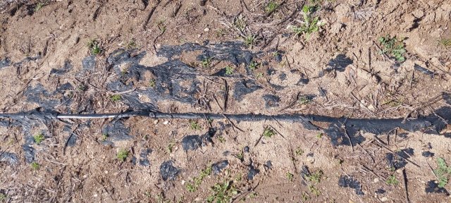 Black piece of plastics in soil