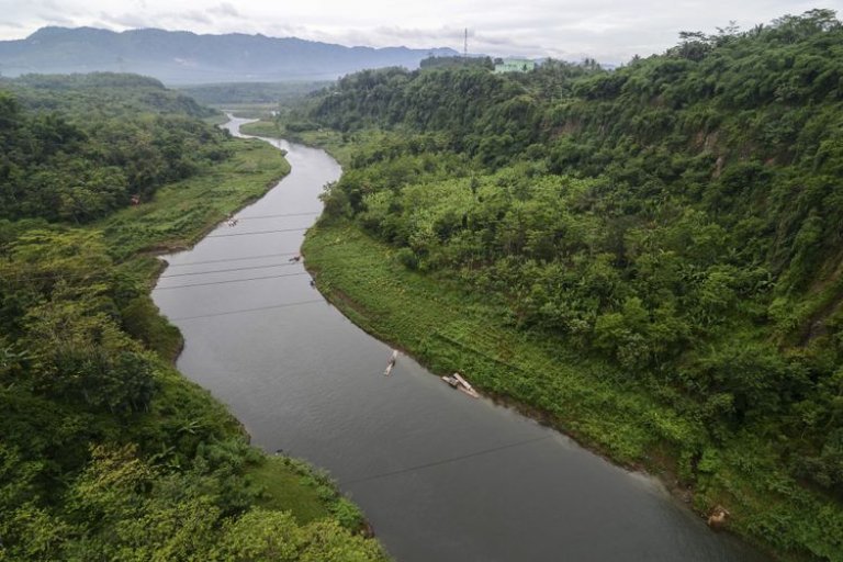 Picture of river from above. Green forest around.