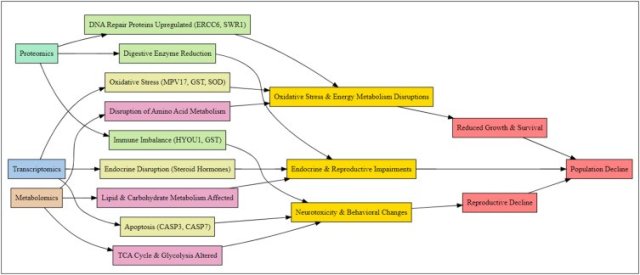 A Schematic diagram of microplastic omics dynamics. 