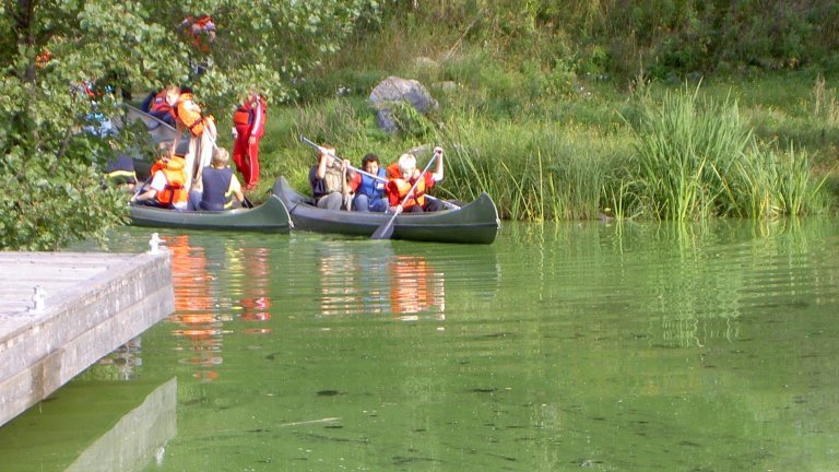 Two canoes in the water