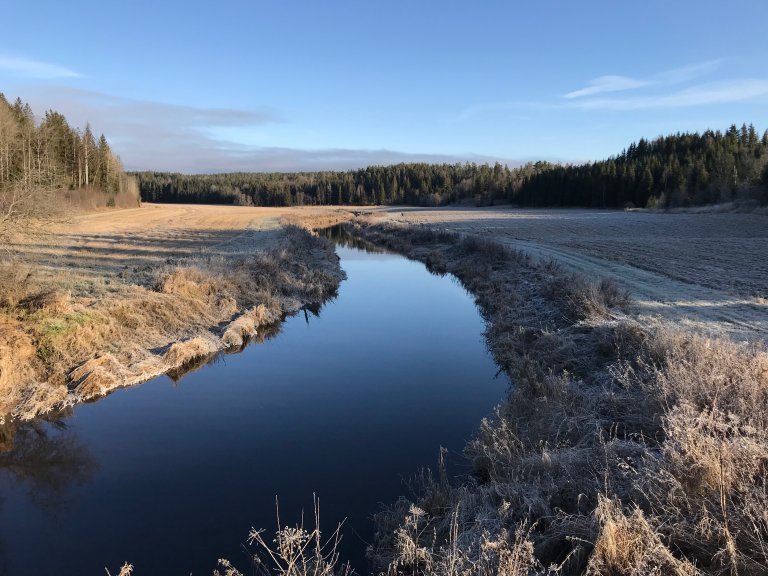 River running through landscape