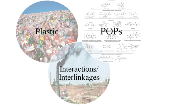 Plastics, POPs and Interlinkages intersections