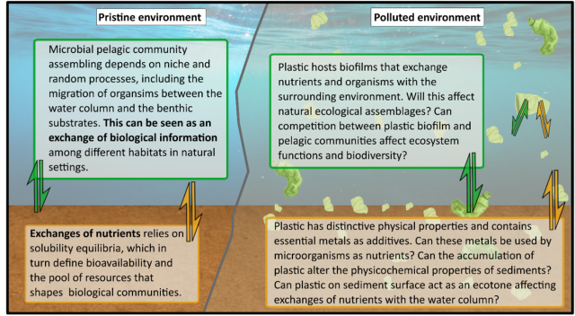 Difference between pristine and polluted environment