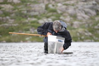 Examining water using a net