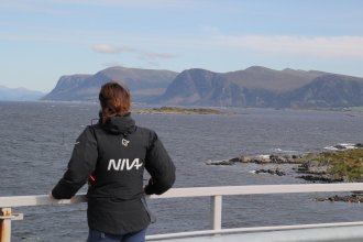 Researcher looking out across the ocean