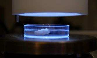 Petriskål med uv-lys