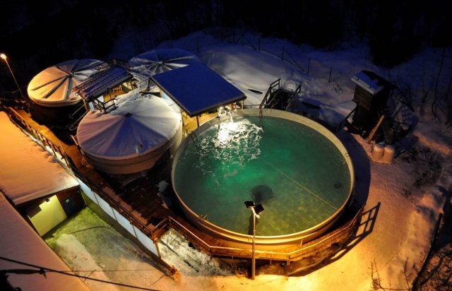 Et stort utendørs basseng