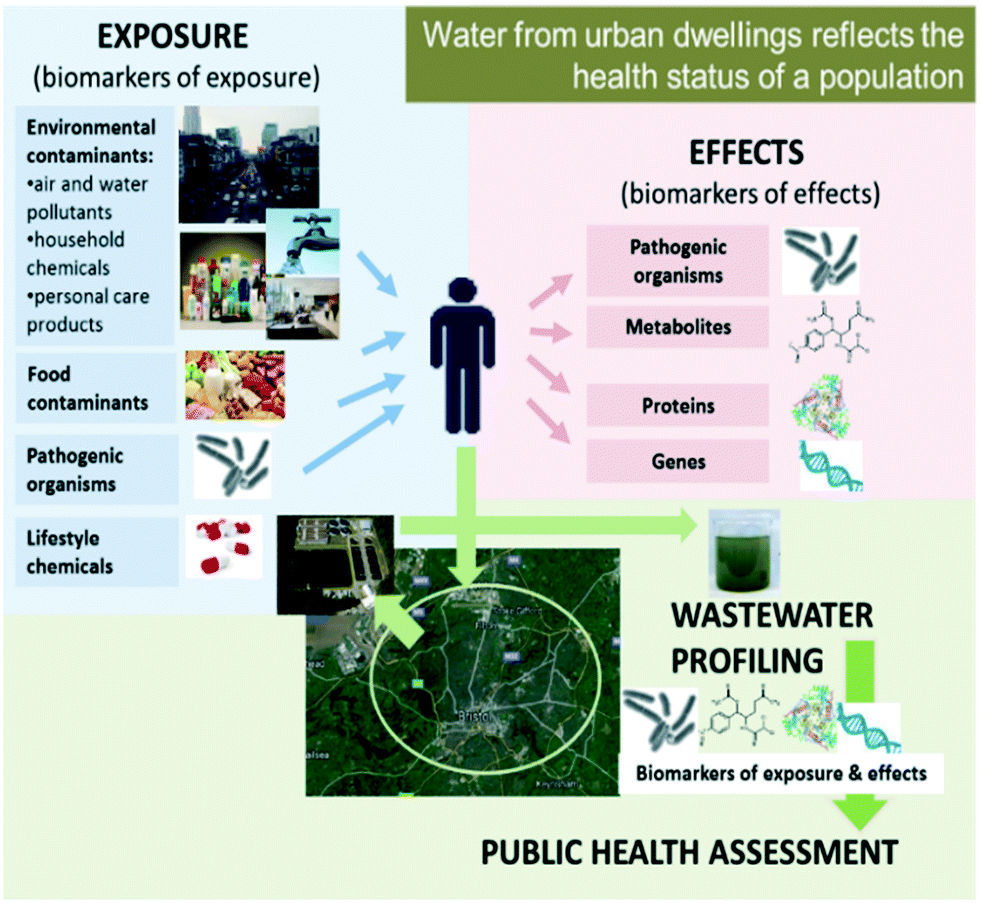 Diagram_University of Bath