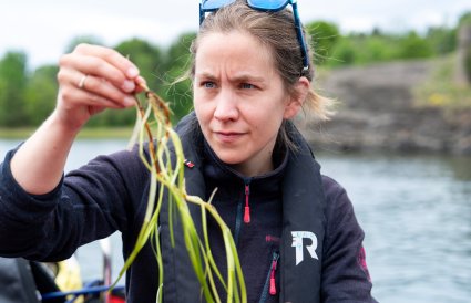 Kvinne studerer grønn plante