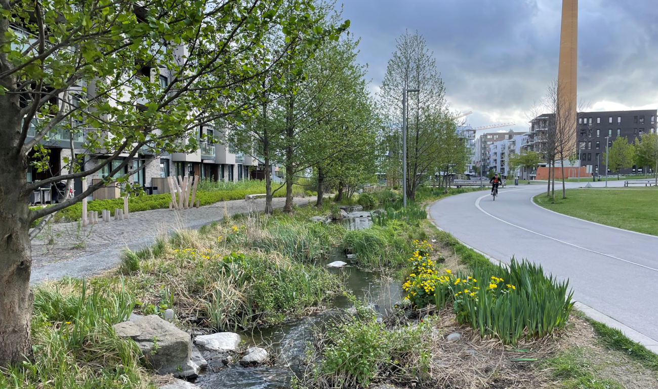 Bilde av liten, urban bekk med sykkelvei ved siden av.
