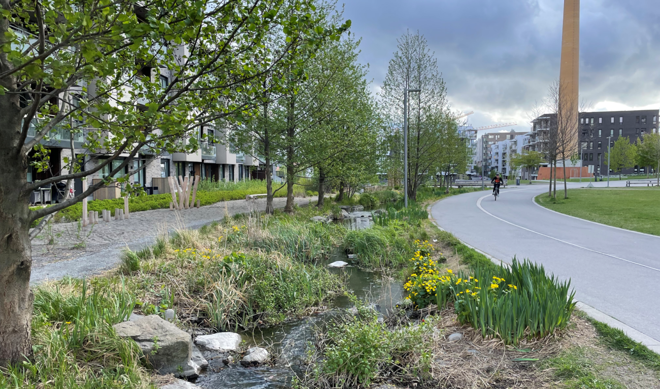 Bilde av liten, urban bekk med sykkelvei ved siden av. 