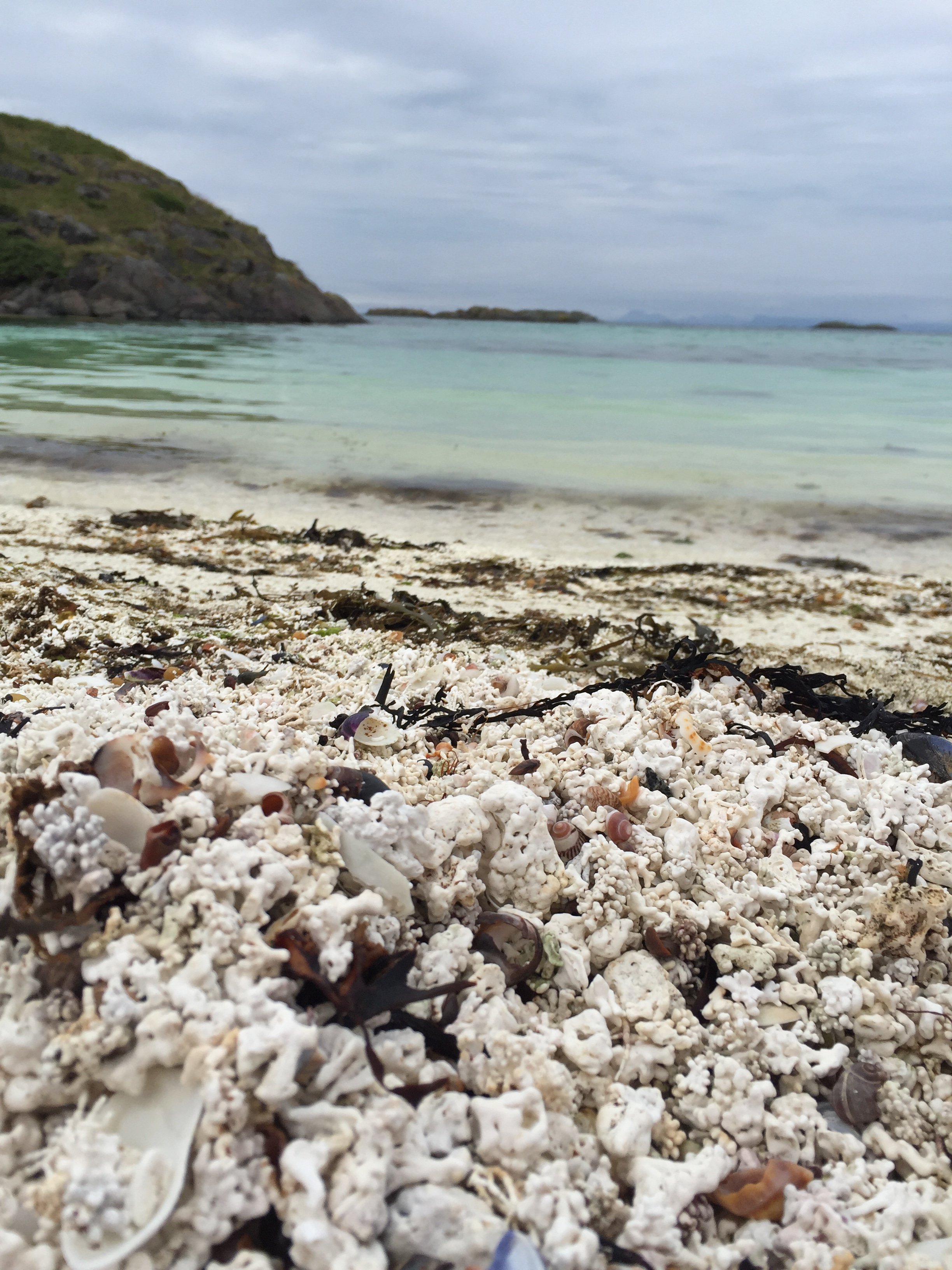 Den viktigste naturtypen du aldri har hørt om | NIVA
