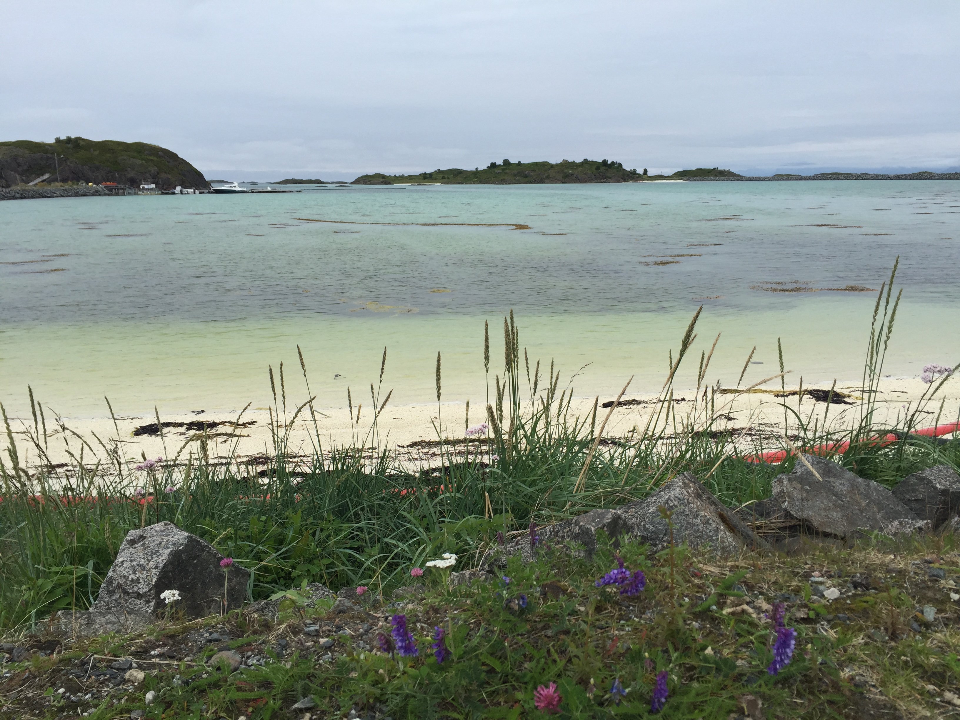 Den viktigste naturtypen du aldri har hørt om | NIVA