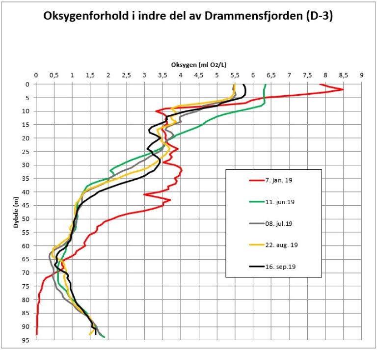 drammensfjorden oksygenforhold sptember 2019