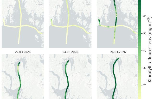 tre grafer som viser utvikling av spredningen av alger i Oslofjorden