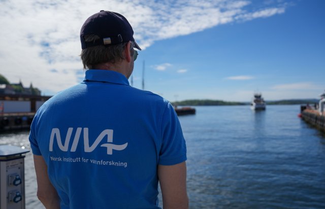 Mann stirrer utover Oslofjorden