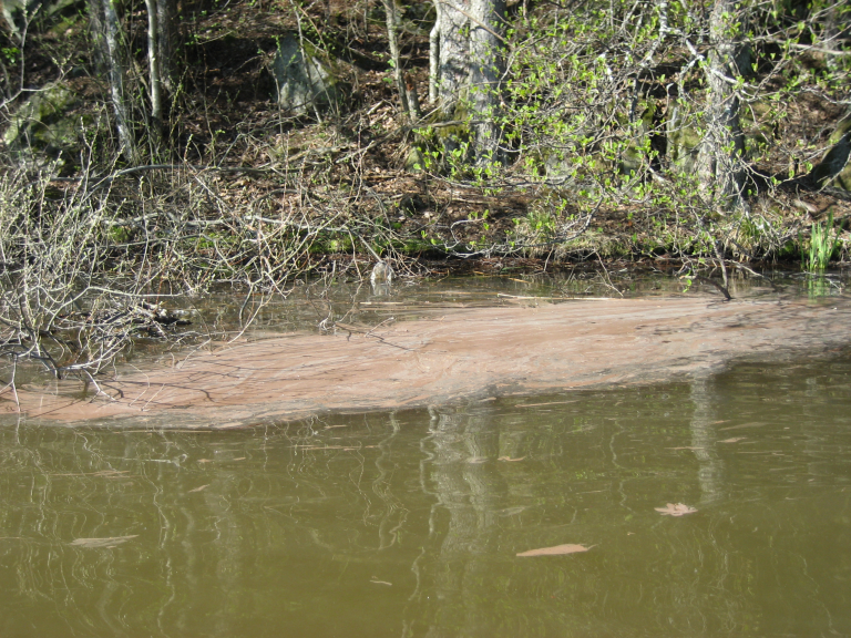 kolbotnvannet 2014