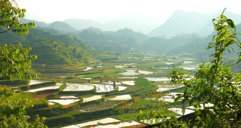 Kina_guizhou_17042007_11-07-54a_TLA