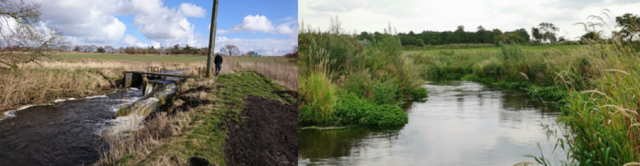 Gelstrup Dambrug i Danmark