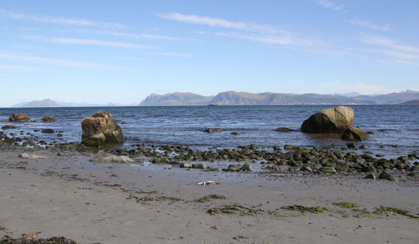 Kyst ved Runde. Foto: NIVA