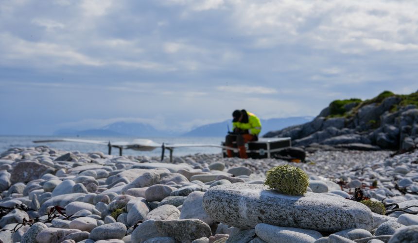 Droneaksjon i Karlsøy kommune. Fotograf: Trygve Heide/NIVA