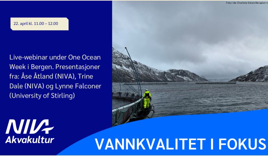 Bannerbilde med teksten 