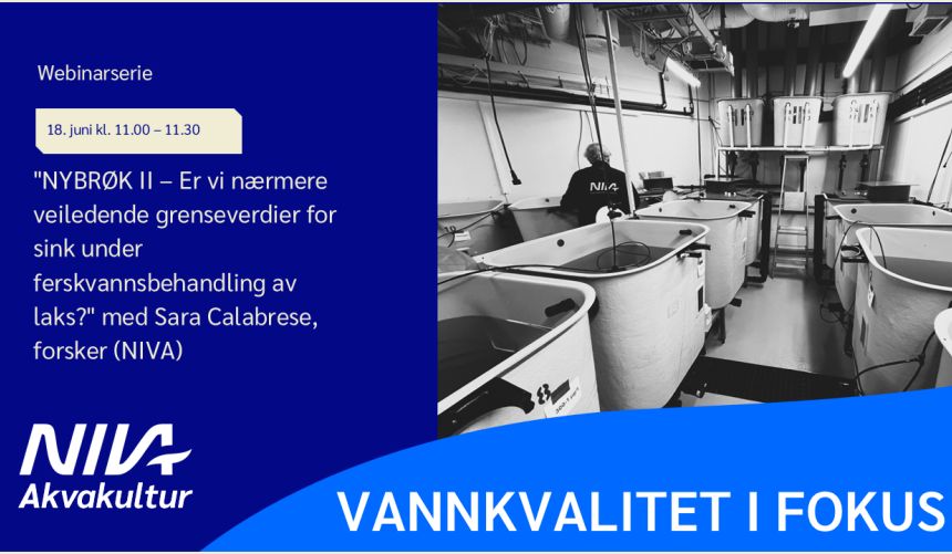 Bannerbilde med teksten 