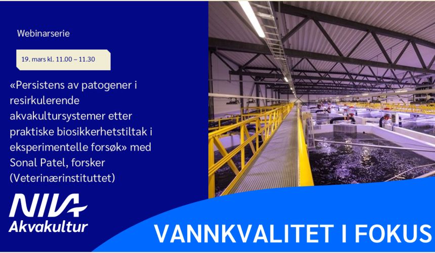 Bannerbilde med teksten 
