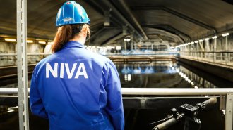 En NIVA ansatt på et avløp renseanlegg.