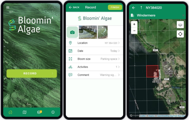 Screenshots from the bloomin algae app