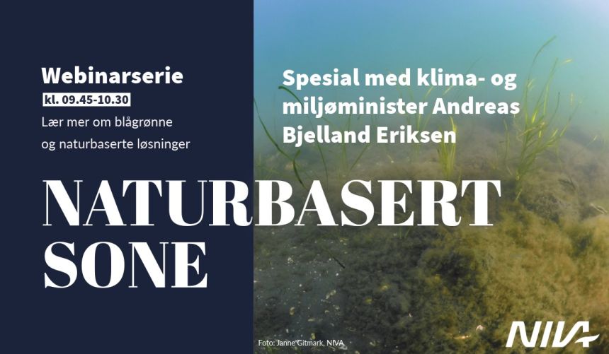 Bannerbilde med teksten 