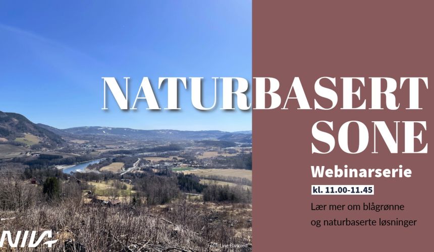 Bannerbilde med teksten 