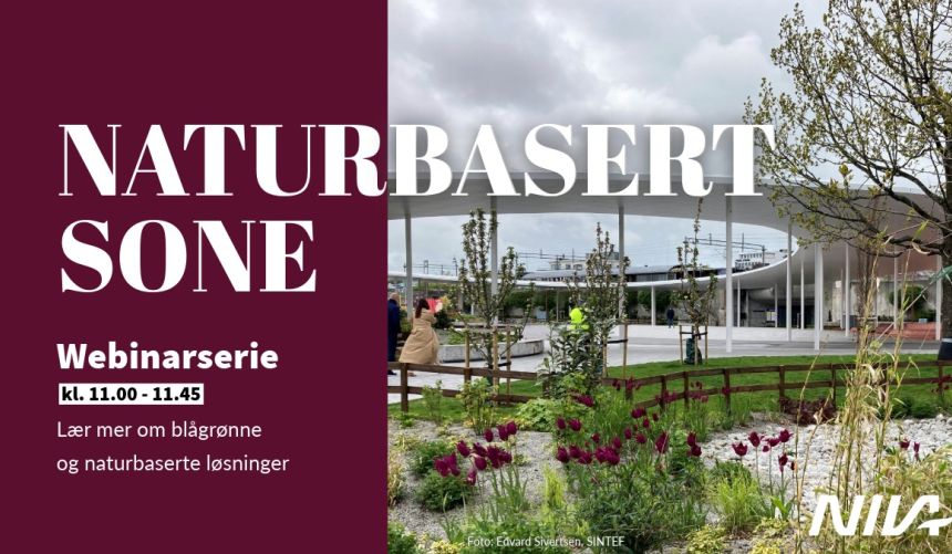 Bannerbilde med teksten 